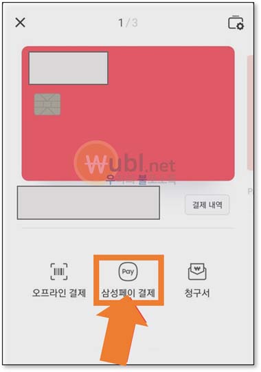 페이코 타인카드