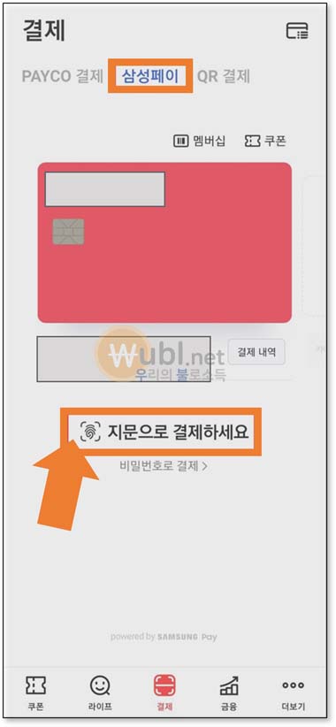 페이코 타인카드