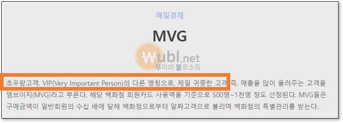 롯데백화점 MVG
