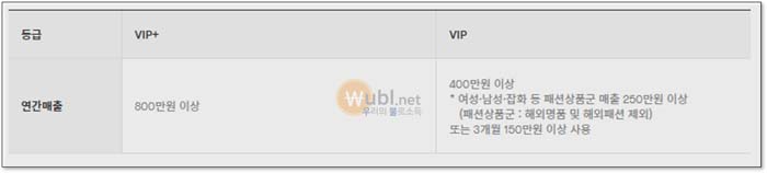 롯데백화점 VIP