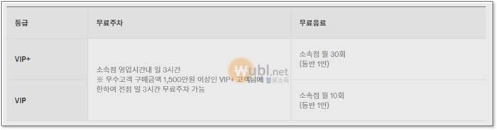 롯데백화점 VIP