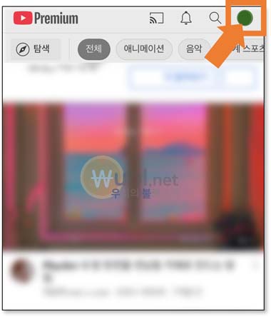 유튜브 데이터