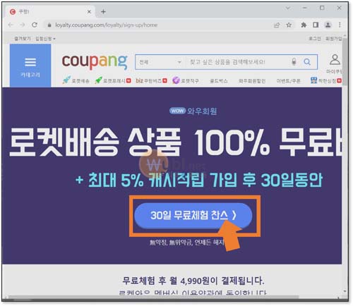 쿠팡플레이 무료