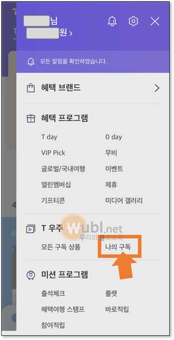 VIP PICK 우주패스