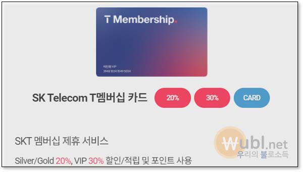 도미노피자 SKT 할인