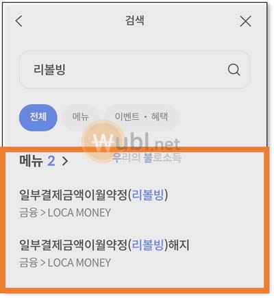 리볼빙 뜻