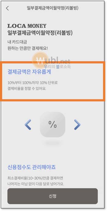 리볼빙 뜻