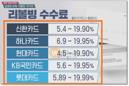 리볼빙 뜻