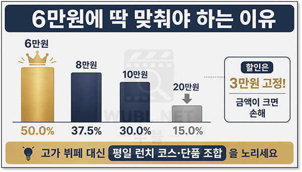 현아플 비마게