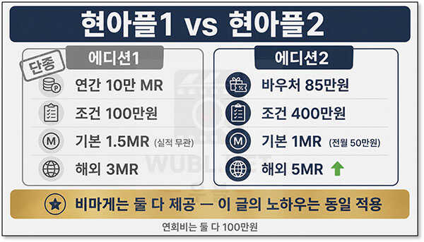 현아플 비마게