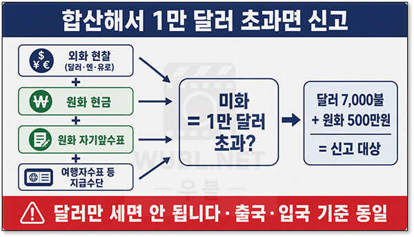 외화 해외 반출 반입 한도