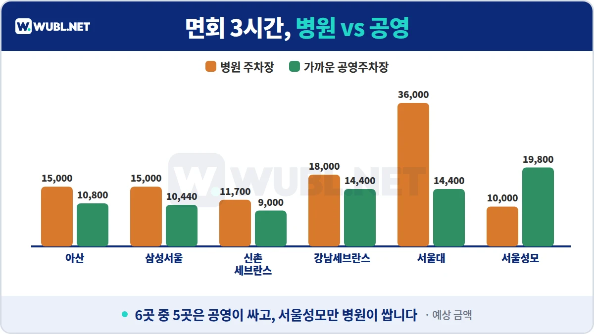 서울 대형병원 주차비 면회 3시간 병원 주차장과 가까운 공영주차장 비교