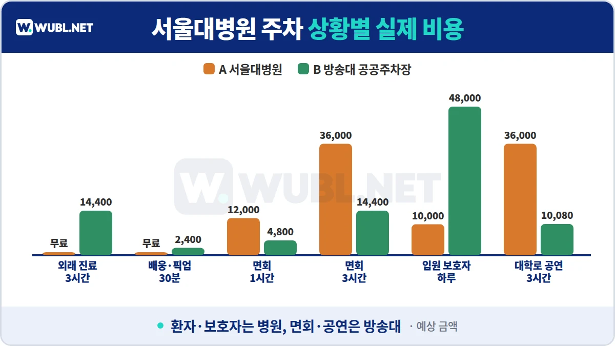 서울대병원 주차 상황별 실제 비용 - 외래 3시간, 배웅 30분, 면회 1·3시간, 입원 보호자 하루, 대학로 공연 3시간